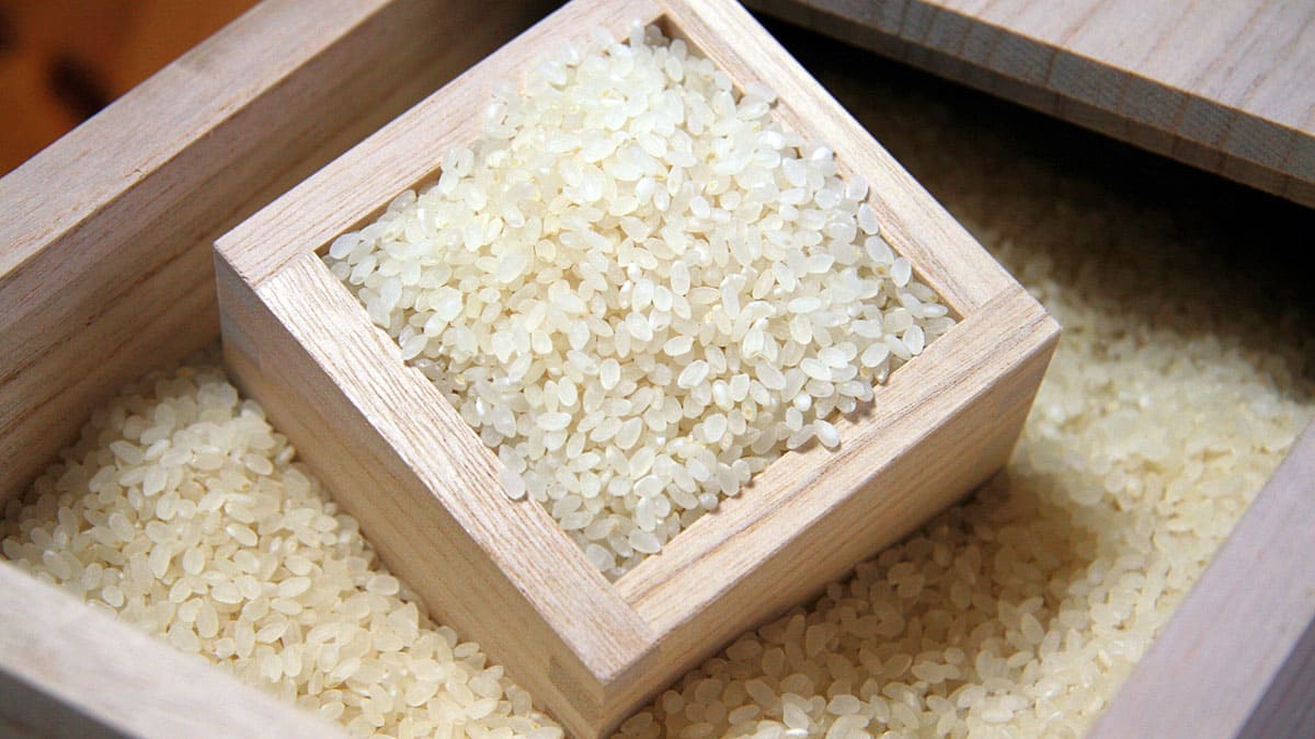 虫には国産桐の桐米びつ10kg 送料無料
