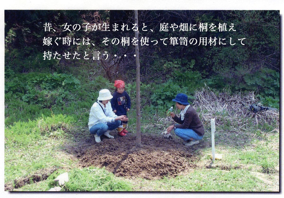 >昔、女の子が生まれると、庭や畑に桐を植え
嫁ぐ時には、その桐を使って箪笥の用材にして持たせたと言う・・・